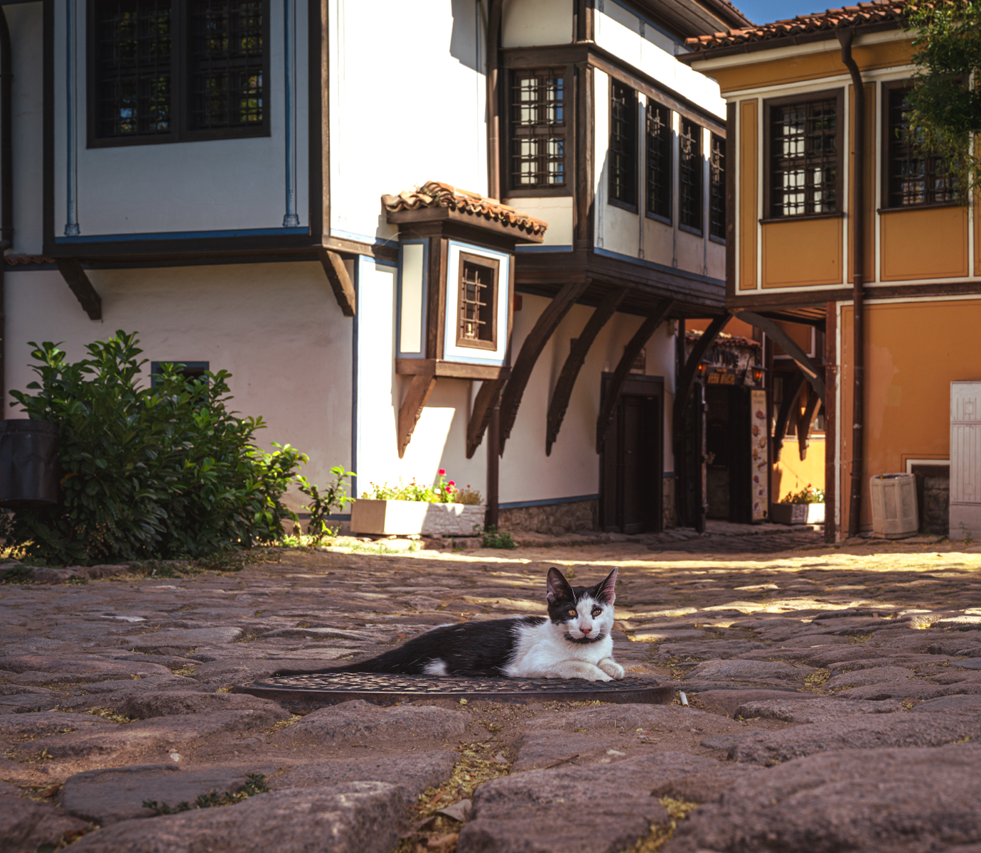 Plovdiv14