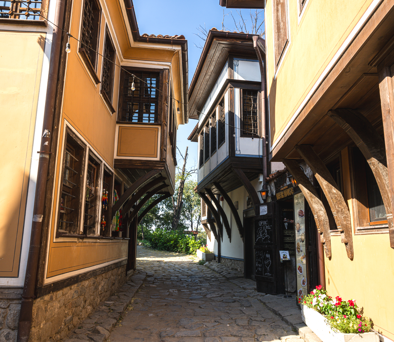 Plovdiv19